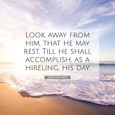 Picture 07 - Job 14:6 ASV - Look away from him, that he may rest, Till he - Bible Verse Picture