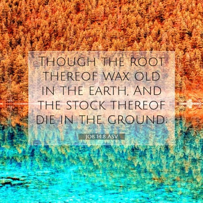 Picture 07 - Job 14:8 ASV - Though the root thereof wax old in the earth, And - Bible Verse Picture