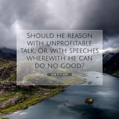 Picture 07 - Job 15:3 ASV - Should he reason with unprofitable talk, Or with - Bible Verse Picture