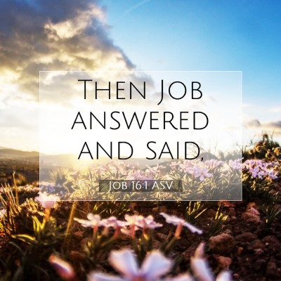 Picture 07 - Job 16:1 ASV - Then Job answered and - Bible Verse Picture