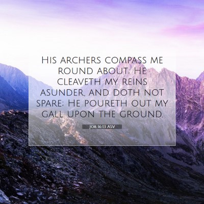 Picture 07 - Job 16:13 ASV - His archers compass me round about; He cleaveth - Bible Verse Picture