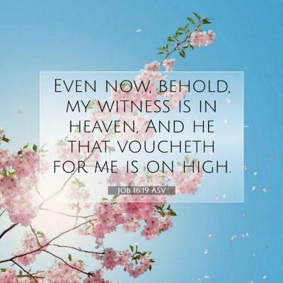 Picture 07 - Job 16:19 ASV - Even now, behold, my witness is in heaven, And he - Bible Verse Picture