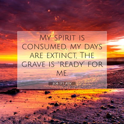 Picture 07 - Job 17:1 ASV - My spirit is consumed, my days are extinct, The - Bible Verse Picture