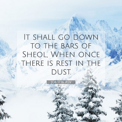 Picture 07 - Job 17:16 ASV - It shall go down to the bars of Sheol, When once - Bible Verse Picture