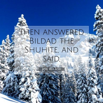 Picture 07 - Job 18:1 ASV - Then answered Bildad the Shuhite, and - Bible Verse Picture