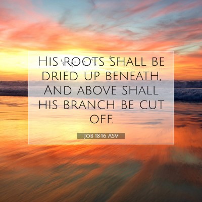 Picture 07 - Job 18:16 ASV - His roots shall be dried up beneath, And above - Bible Verse Picture