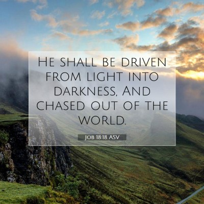 Picture 07 - Job 18:18 ASV - He shall be driven from light into darkness, And - Bible Verse Picture
