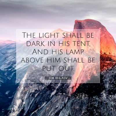 Picture 07 - Job 18:6 ASV - The light shall be dark in his tent, And his lamp - Bible Verse Picture