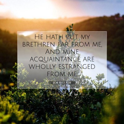 Picture 07 - Job 19:13 ASV - He hath put my brethren far from me, And mine - Bible Verse Picture