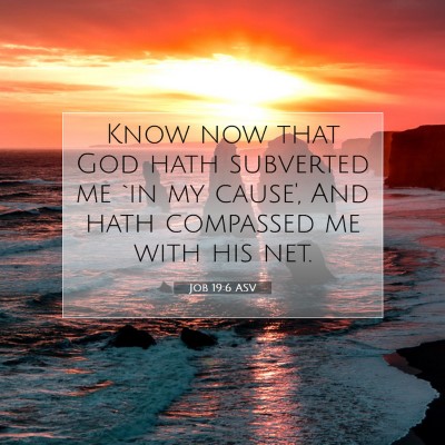 Picture 07 - Job 19:6 ASV - Know now that God hath subverted me `in my - Bible Verse Picture