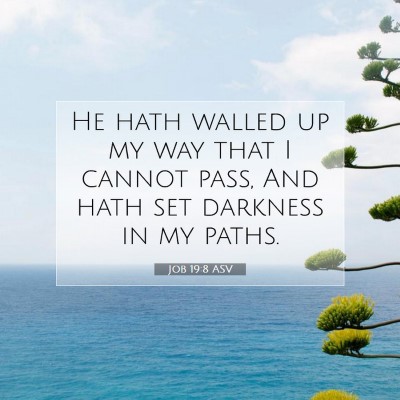 Picture 07 - Job 19:8 ASV - He hath walled up my way that I cannot pass, And - Bible Verse Picture