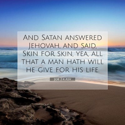 Picture 07 - Job 2:4 ASV - And Satan answered Jehovah, and said, Skin for - Bible Verse Picture