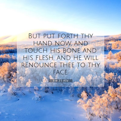 Picture 07 - Job 2:5 ASV - But put forth thy hand now, and touch his bone - Bible Verse Picture
