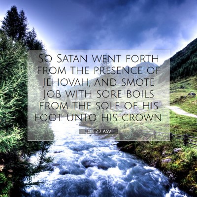 Picture 07 - Job 2:7 ASV - So Satan went forth from the presence of Jehovah, - Bible Verse Picture