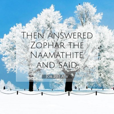 Picture 07 - Job 20:1 ASV - Then answered Zophar the Naamathite, and - Bible Verse Picture