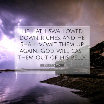 Picture 07 - Job 20:15 ASV - He hath swallowed down riches, and he shall vomit - Bible Verse Picture