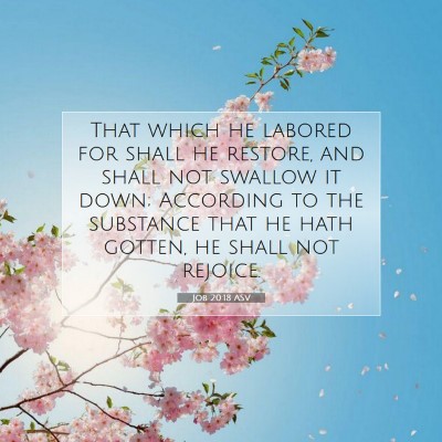 Picture 07 - Job 20:18 ASV - That which he labored for shall he restore, and - Bible Verse Picture