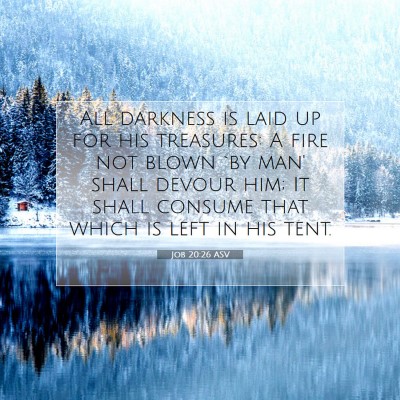 Picture 07 - Job 20:26 ASV - All darkness is laid up for his treasures: A fire - Bible Verse Picture