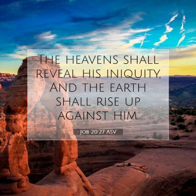 Picture 07 - Job 20:27 ASV - The heavens shall reveal his iniquity, And the - Bible Verse Picture