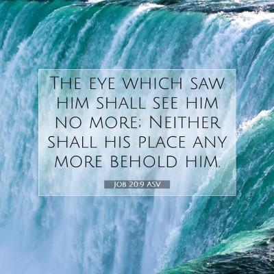 Picture 07 - Job 20:9 ASV - The eye which saw him shall see him no more; - Bible Verse Picture