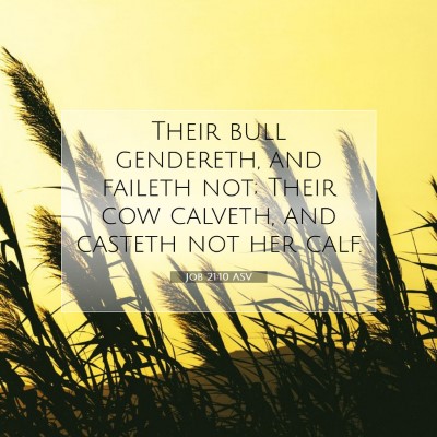 Picture 07 - Job 21:10 ASV - Their bull gendereth, and faileth not; Their cow - Bible Verse Picture