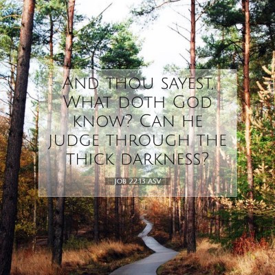 Picture 07 - Job 22:13 ASV - And thou sayest, What doth God know? Can he judge - Bible Verse Picture