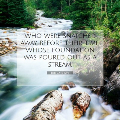 Picture 07 - Job 22:16 ASV - Who were snatched away before their time, Whose - Bible Verse Picture