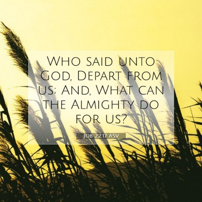 Picture 07 - Job 22:17 ASV - Who said unto God, Depart from us; And, What can - Bible Verse Picture