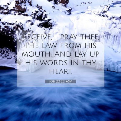 Picture 07 - Job 22:22 ASV - Receive, I pray thee, the law from his mouth, And - Bible Verse Picture