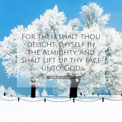 Picture 07 - Job 22:26 ASV - For then shalt thou delight thyself in the - Bible Verse Picture
