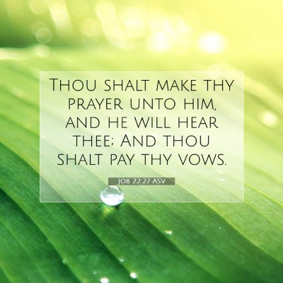 Picture 07 - Job 22:27 ASV - Thou shalt make thy prayer unto him, and he will - Bible Verse Picture