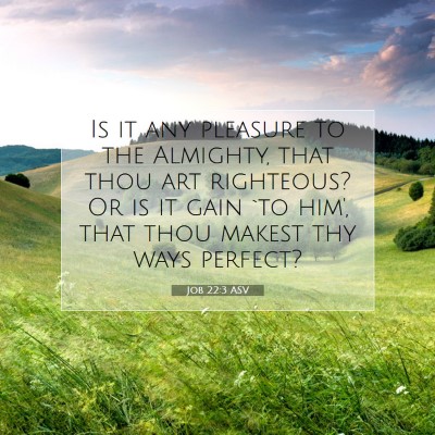 Picture 07 - Job 22:3 ASV - Is it any pleasure to the Almighty, that thou art - Bible Verse Picture