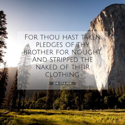 Picture 07 - Job 22:6 ASV - For thou hast taken pledges of thy brother for - Bible Verse Picture