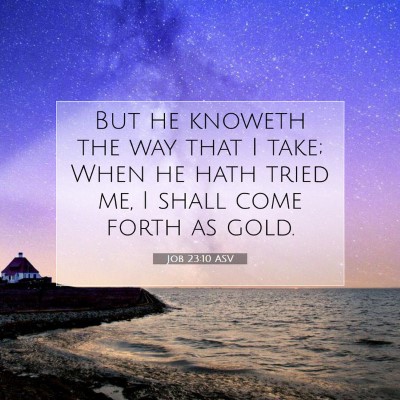 Picture 07 - Job 23:10 ASV - But he knoweth the way that I take; When he hath - Bible Verse Picture