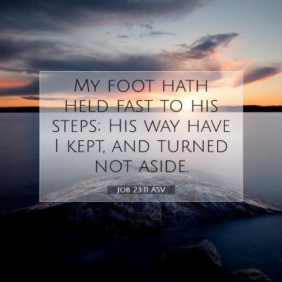 Picture 07 - Job 23:11 ASV - My foot hath held fast to his steps; His way have - Bible Verse Picture