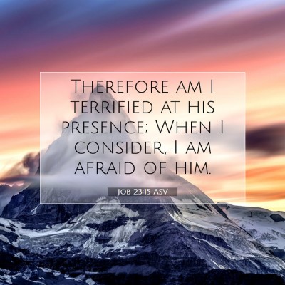 Picture 07 - Job 23:15 ASV - Therefore am I terrified at his presence; When I - Bible Verse Picture