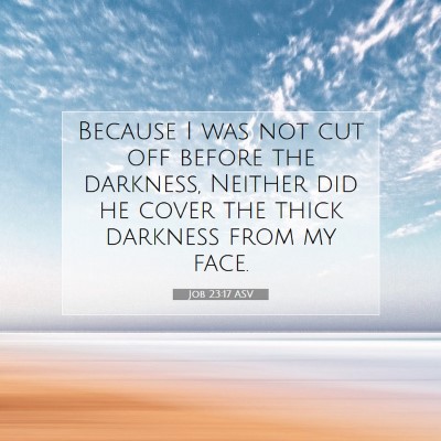 Picture 07 - Job 23:17 ASV - Because I was not cut off before the darkness, - Bible Verse Picture