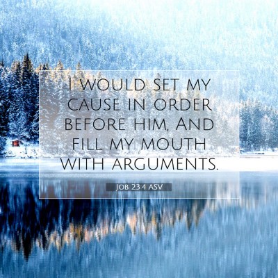 Picture 07 - Job 23:4 ASV - I would set my cause in order before him, And - Bible Verse Picture