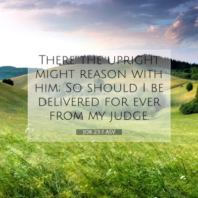 Picture 07 - Job 23:7 ASV - There the upright might reason with him; So - Bible Verse Picture