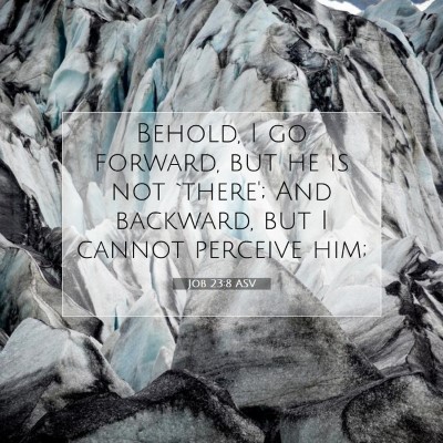 Picture 07 - Job 23:8 ASV - Behold, I go forward, but he is not `there'; And - Bible Verse Picture