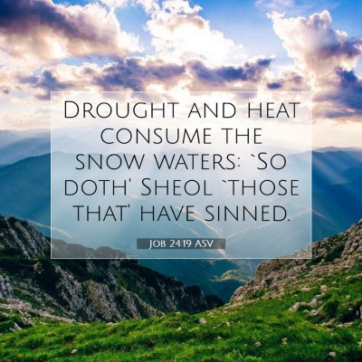 Picture 07 - Job 24:19 ASV - Drought and heat consume the snow waters: `So - Bible Verse Picture