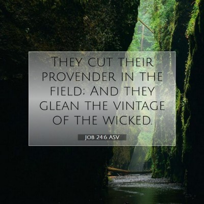 Picture 07 - Job 24:6 ASV - They cut their provender in the field; And they - Bible Verse Picture