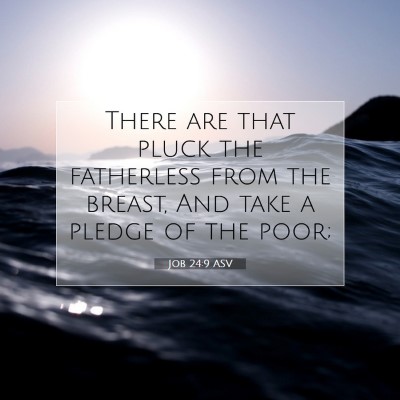 Picture 07 - Job 24:9 ASV - There are that pluck the fatherless from the - Bible Verse Picture