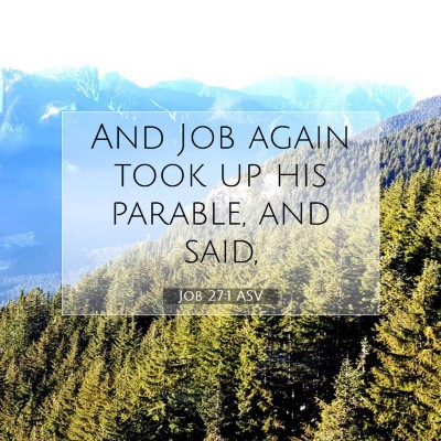 Picture 07 - Job 27:1 ASV - And Job again took up his parable, and - Bible Verse Picture
