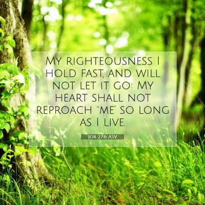 Picture 07 - Job 27:6 ASV - My righteousness I hold fast, and will not let it - Bible Verse Picture