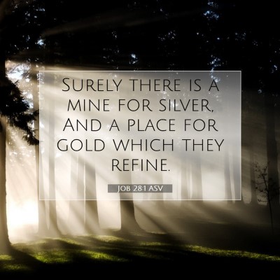 Picture 07 - Job 28:1 ASV - Surely there is a mine for silver, And a place - Bible Verse Picture