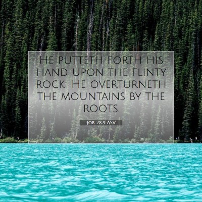 Picture 07 - Job 28:9 ASV - He putteth forth his hand upon the flinty rock; - Bible Verse Picture