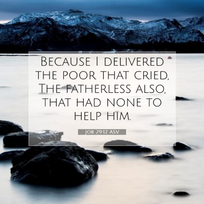 Picture 07 - Job 29:12 ASV - Because I delivered the poor that cried, The - Bible Verse Picture