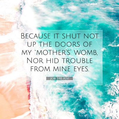 Picture 07 - Job 3:10 ASV - Because it shut not up the doors of my `mother's' - Bible Verse Picture
