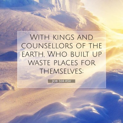 Picture 07 - Job 3:14 ASV - With kings and counsellors of the earth, Who - Bible Verse Picture